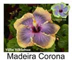 Madeira Corona