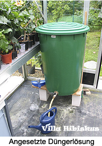 Düngerlösung Villa Hibiskus