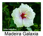 Madeira Galaxia