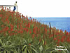 Umgebung-Villa-Hibiskus