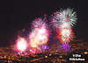 Silvester-Villa-Hibiskus