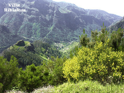 Wandern-Villa-Hibiskus